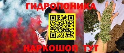 дурь Славянск-на-Кубани