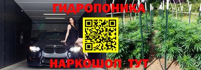 амф Славгород
