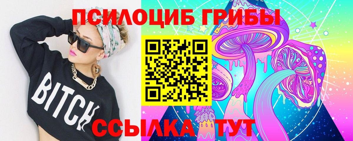 Псилоцибиновые грибы Psilocybine cubensis Ростов-на-Дону