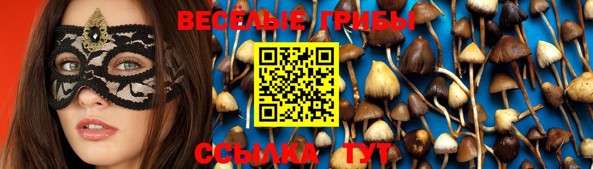 Ростов-на-Дону  Псилоцибиновые грибы Psilocybine cubensis  Галлюциногенные грибы GOLDEN TEACHER  где продают   Вход с VPN 